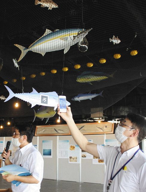 富山湾の魚の情報をARで見ることができる
