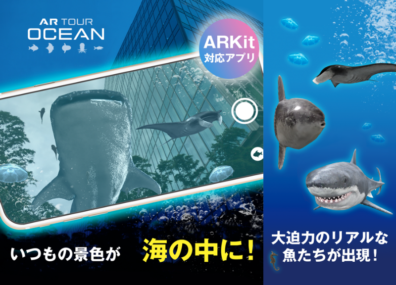 AR TOUR OCEANアプリの海洋生物たち