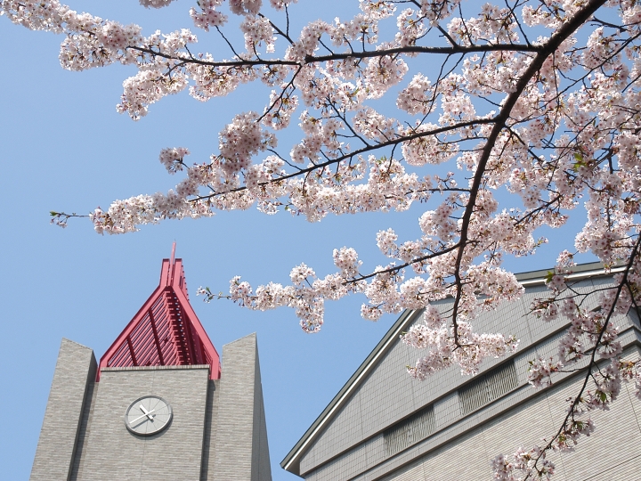 AR入学記念コンテンツの配信を決定した早稲田大学の大隈講堂と桜