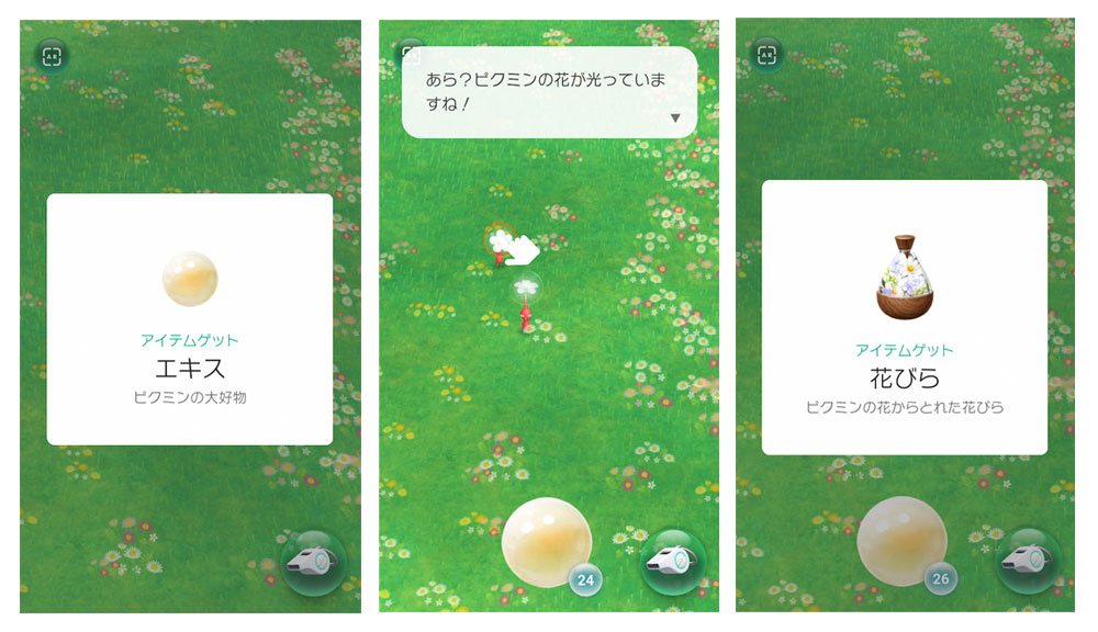 ARアプリ「Pikmin Bloom」で「エキス」と「花びら」を獲得