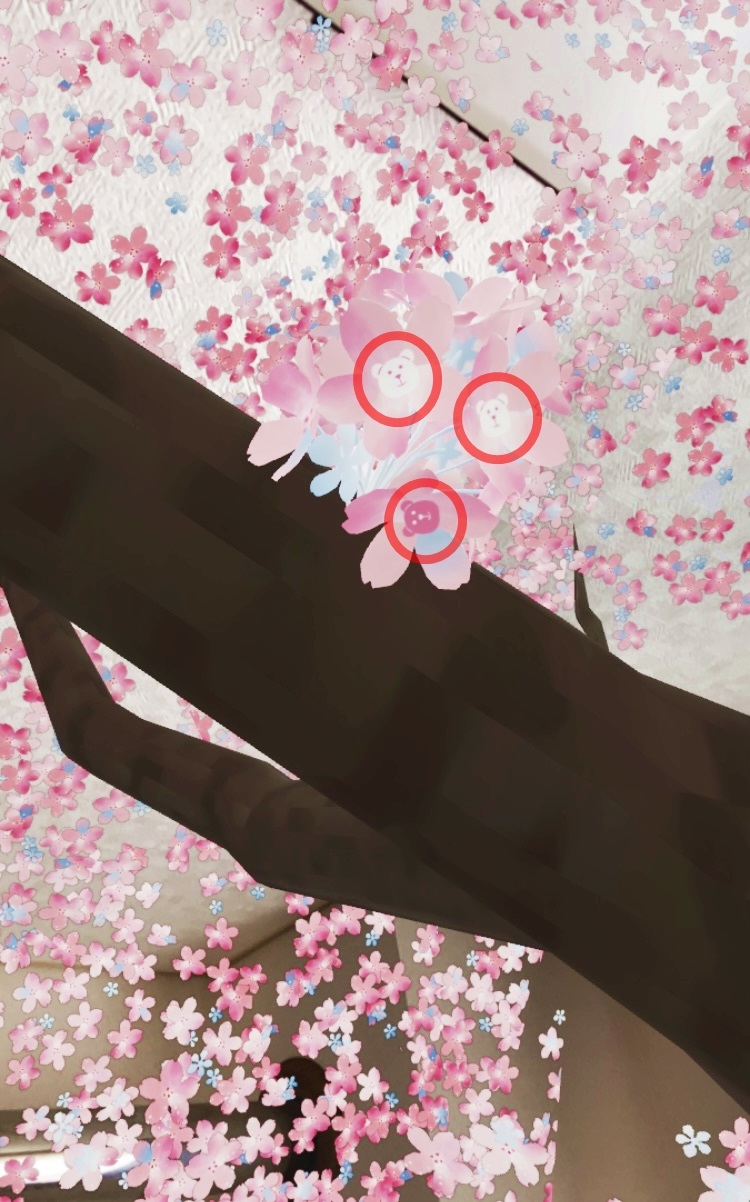桜の一部が熊になっているスターバックスのARコンテンツ「さくらAR2021」