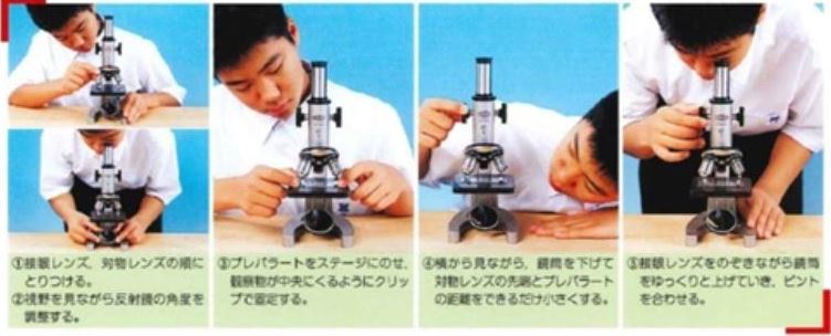 中学生が顕微鏡を実際に使ってみているところ