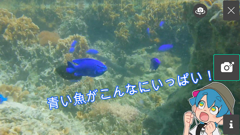 スマホ内で流れるAR動画、沖縄の海で泳ぐ青い小魚
