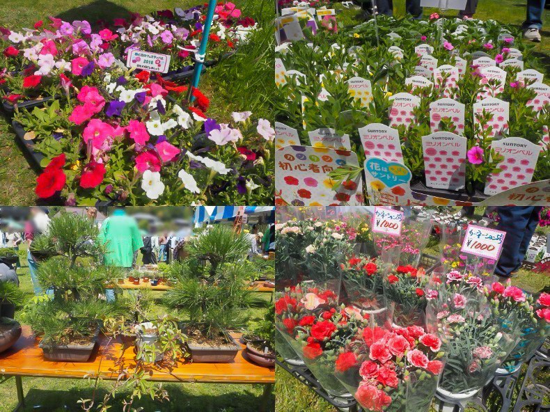 会場内、他の場所ではミリオンベル・カーネーション・盆栽など様々な花と緑が販売されている